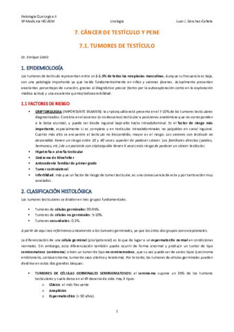 TEMA-7-CANCER-DE-PENE-Y-TESTICULO.pdf