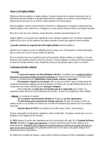 Funcion-Publica-resumen.pdf