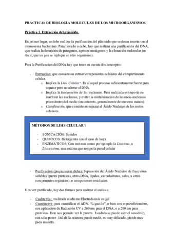 PRACTICAS-BIOMOL.pdf