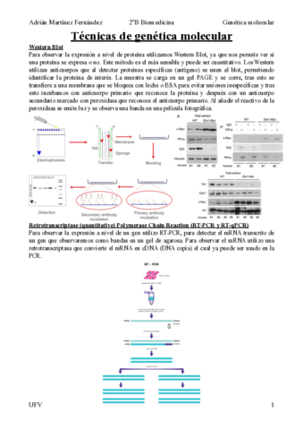 Tecnicas-de-genetica.pdf