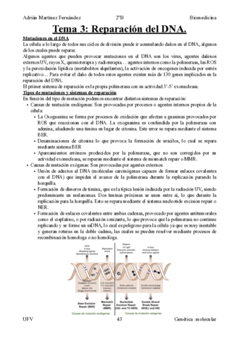 Tema-3.pdf