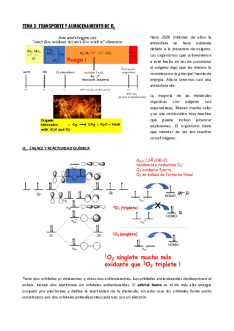TEMA-3-TRANSPORTE-Y-ALMACENAMIENTO-DE-O2.pdf