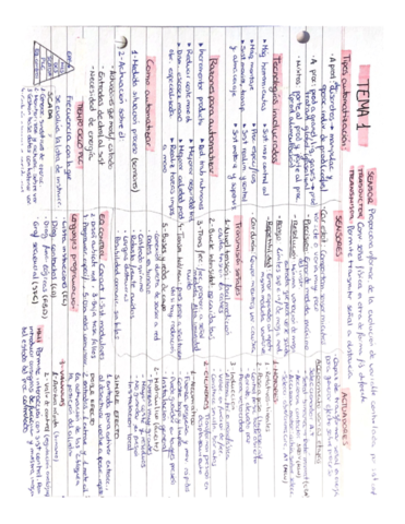 resumen-teoria-1-parc.pdf