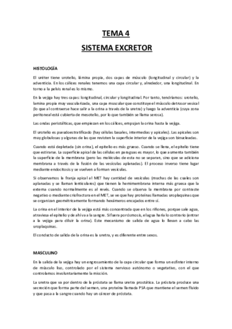 Tema-4-Sistema-excretor.pdf