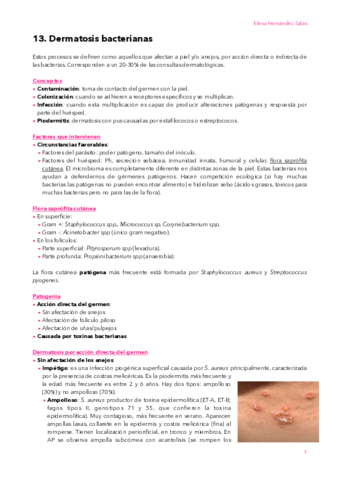 13-Bacterias.pdf