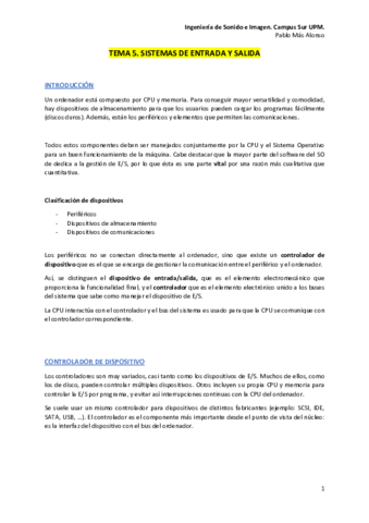 TEMA5ENTRADASALIDA.pdf