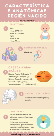 Crema-y-Rosa-Claro-Mascota-Proceso-Infografia-1.mp4