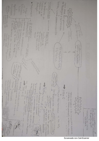 lenguas-de-espana.pdf