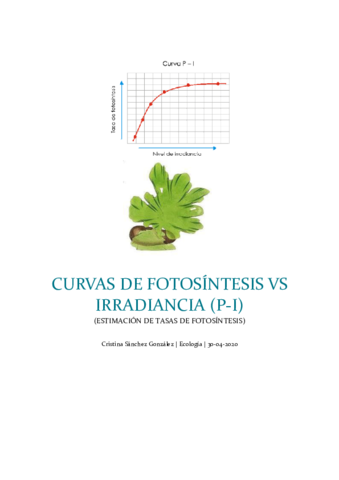 Informe-Curvas-P-I.pdf