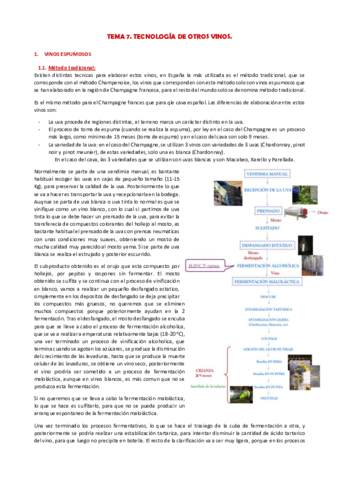 Miniatura del documento TEMA-7.pdf