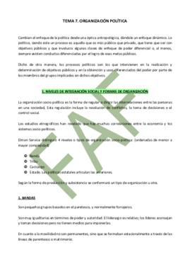 TEMA 7. Organización política..pdf