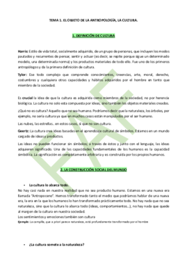 TEMA 1. La cultura.pdf