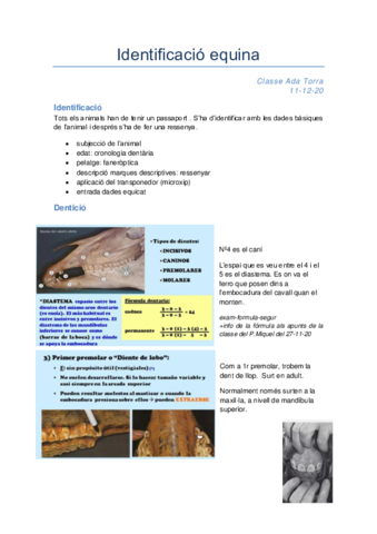 Identificacio-equina111220-be.pdf