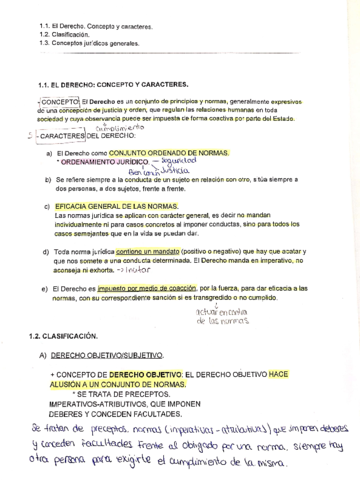 tema-1-introduccion.pdf