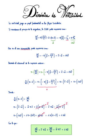 2-Dinamica-de-vorticidad.pdf