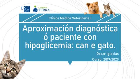 Aproximacion-diagnostica-Hipoglucemia.pdf