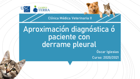 Aproximacion-diagnostica-derrame-pleural.pdf