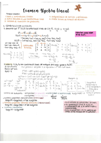 Resumen-Examen-2019-2-Vane.pdf