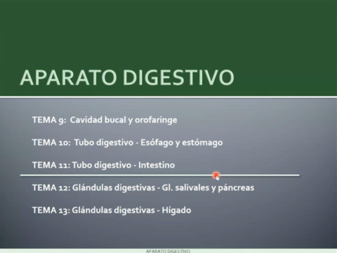 cavidad-bucal-y-orofaringe.pdf