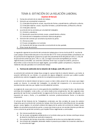 TEMA-6.pdf
