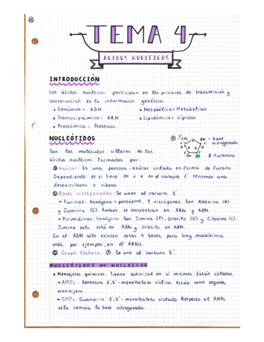 Tema-4-Acidos-nucleicos.pdf