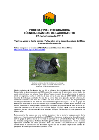 PRUEBAFINALINTEGRADORA2013-1.pdf