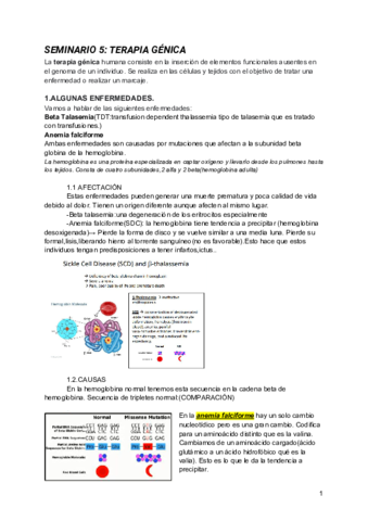 SEMINARIO-5-TERAPIA-GENICA.pdf