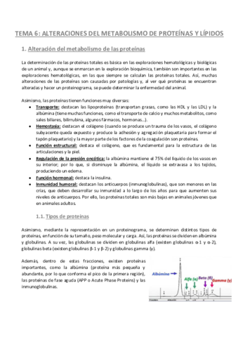 TEMA-6-Patologia-General.pdf