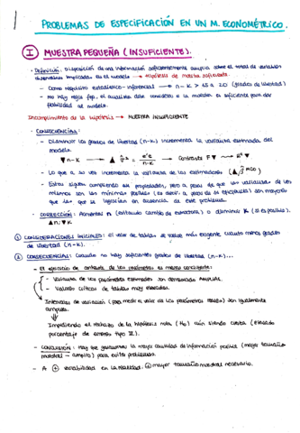 Apuntes-Econometria.pdf