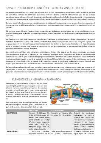 PRIMER-PARCIAL-2-BC.pdf