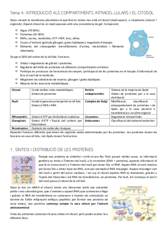 PRIMER-PARCIAL-3-BC.pdf