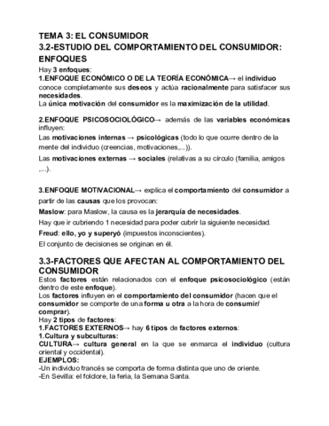 TEMA-3-EL-CONSUMIDOR.pdf