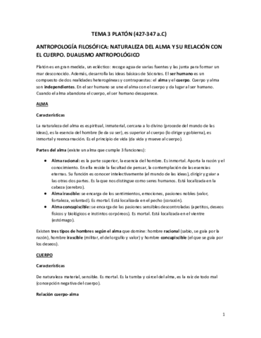 TEMA-3-PLATON.pdf