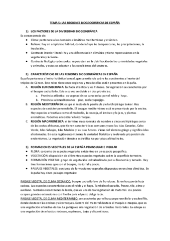 TEMA-5-ESQUEMA.pdf