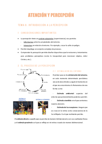 AYPTema6INTRODUCCION-A-LA-PERCEPCION.pdf