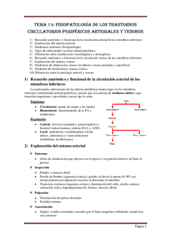 FISIOPATOLOGIA TEMA 14 VALME.pdf