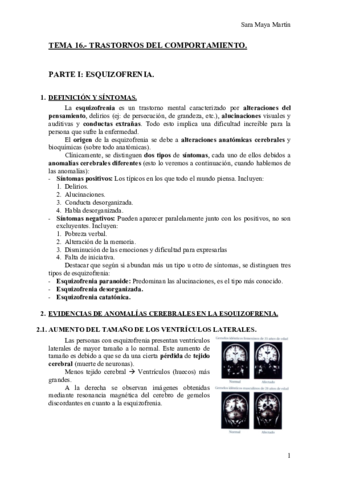 TEMA-16.pdf