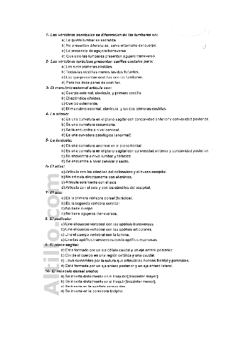 examen-anatomia.pdf