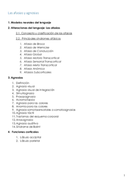 Temas Neuropsicología.pdf
