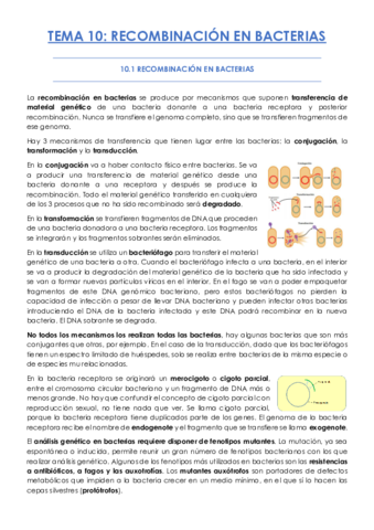 TEMA-10.pdf