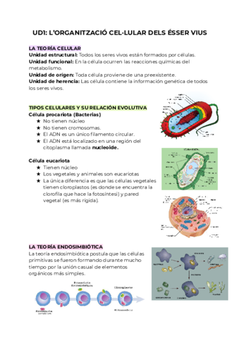 RESUM-BIO-UD1.pdf