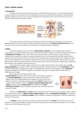 Tema-5-Aparato-urinario.pdf