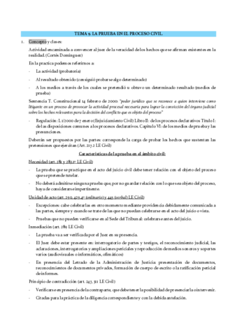 Tema-9-de-Derecho-Procesal-Civiil.pdf