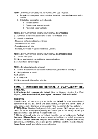 Sociologia-del-Treball.pdf