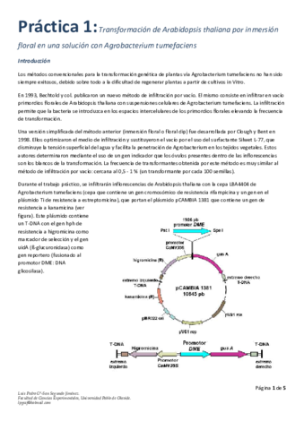 Practica-1.pdf