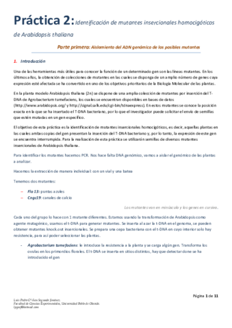 Practica-2.pdf