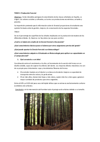 TEMA-3.pdf