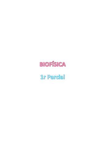 1r-Parcial-BF.pdf