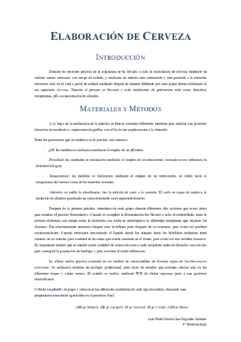 Informe-Cerveza.pdf