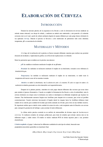 Informe-Cerveza.pdf